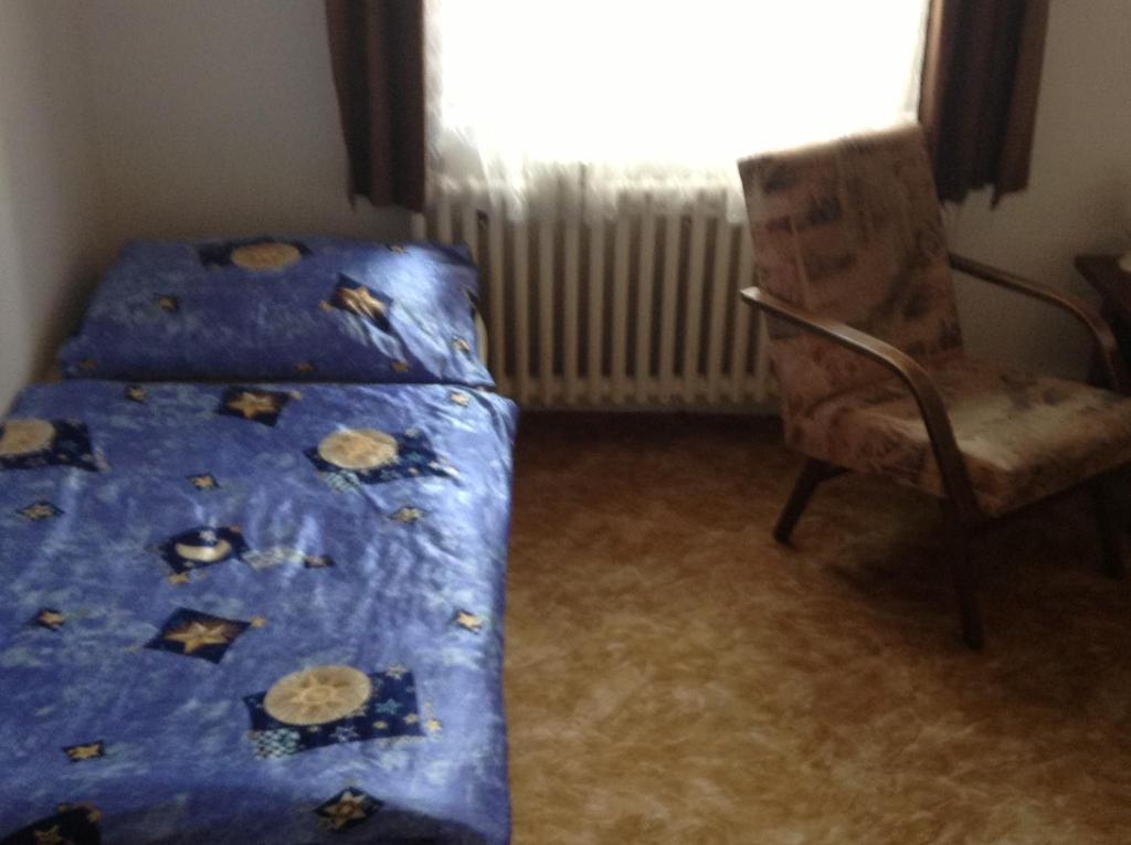 At Pension Ceske Budejovice Rum bild