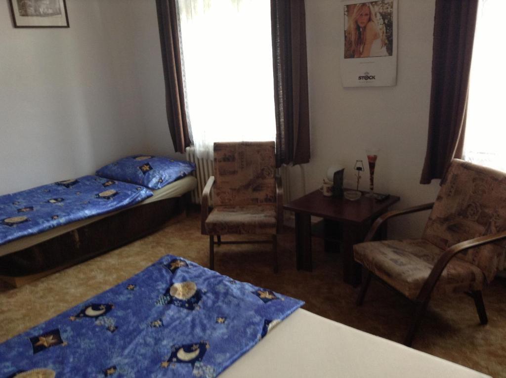 At Pension Ceske Budejovice Rum bild