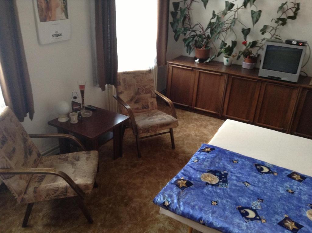 At Pension Ceske Budejovice Rum bild